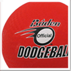 Baden Schools Official Dodgeball