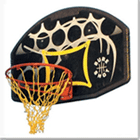 Wall Fixed Goals 
Acrylic, PVC & Marine Plywood Wall Mounted Basketball Hoops.